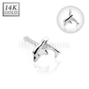 14 Karat Solid White Gold Dolphin Nose Stud Ring