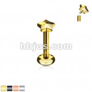 316L Surgical Steel Internally Threaded Labret Monroe with 4mm Star Flat Top