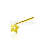 20GA .925 Sterling Silver Gold IP Bendable Nose Ring with 3mm Hollow Star