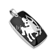 316L Stainless Steel Zodiac Pendant. 