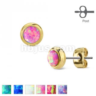 earrings steel