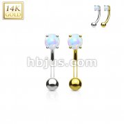 Prong Set Opal Stone 14K Gold Curved Barbell Eyebrow Ring