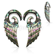 Pair of Organic Abalone  Angel Wing Spiral Taper