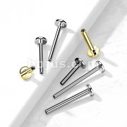 10 Pc Pack 316L Surgical Steel Internally Threaded Flat Back Labret Post