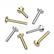 316L Surgical Steel Threadless Push In 3mm Base Convex Back Stud Labret Pin