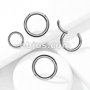 High Quality Precision 316L Surgical Steel Hinged Segment HoopRings