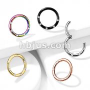 316L Surgical Steel Hinged Segment Hoop Rings with 5 Flush Set Front Facing Petite Crystals