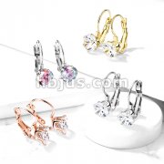 Pair of Prong Set Roun CZ Lever Back Stainless Steel Earrings