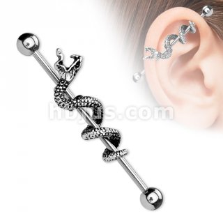 316L surgical Steel Industrial Barbells with Snake
